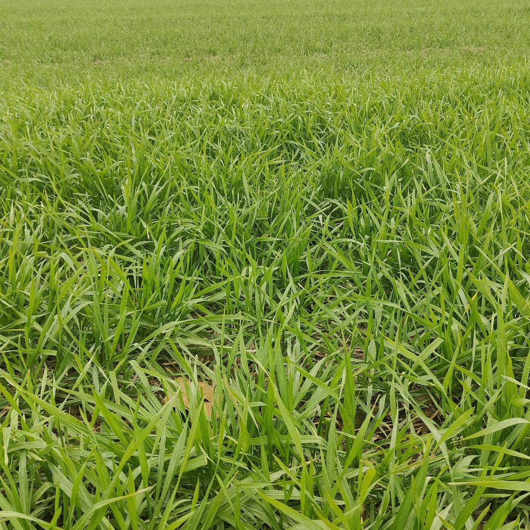 ℡为你我受冷风吹☜