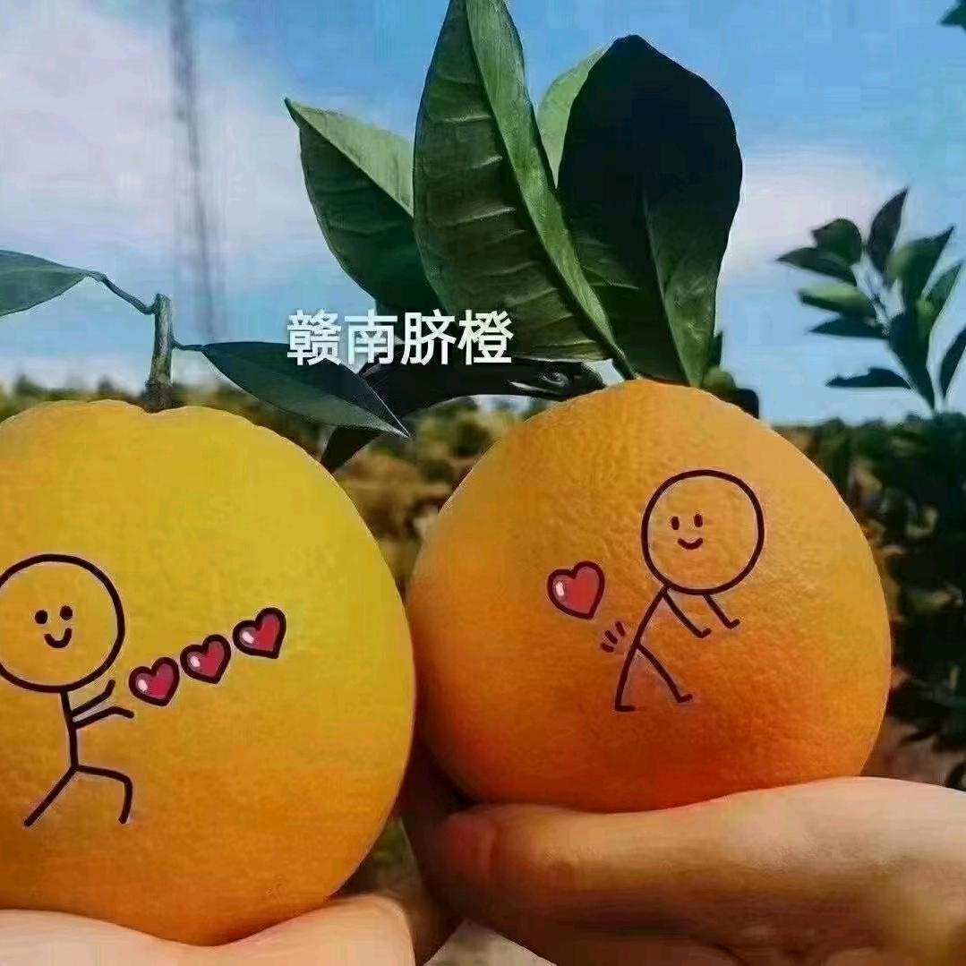 金诚