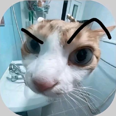 一颗葡萄