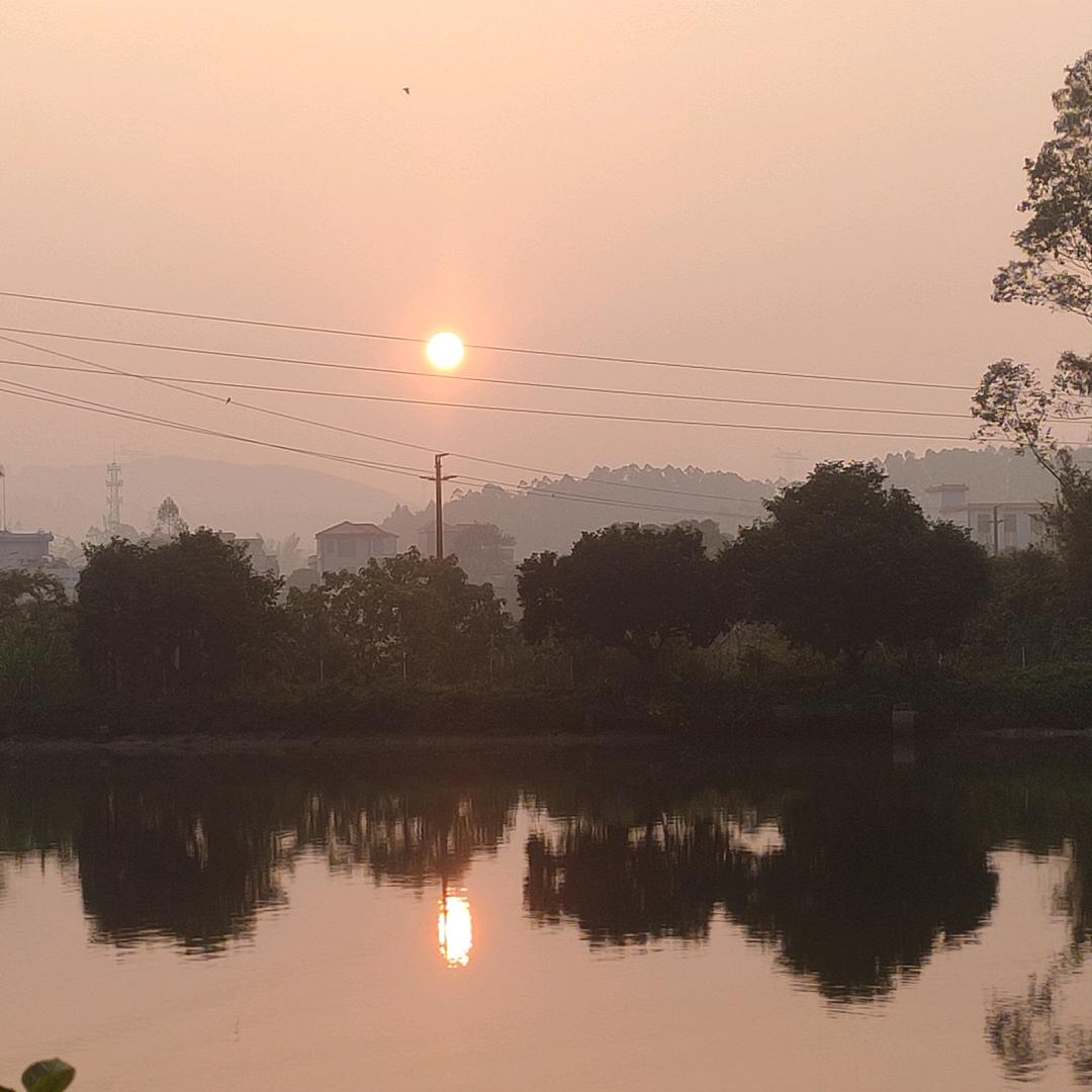 零，荭鲽