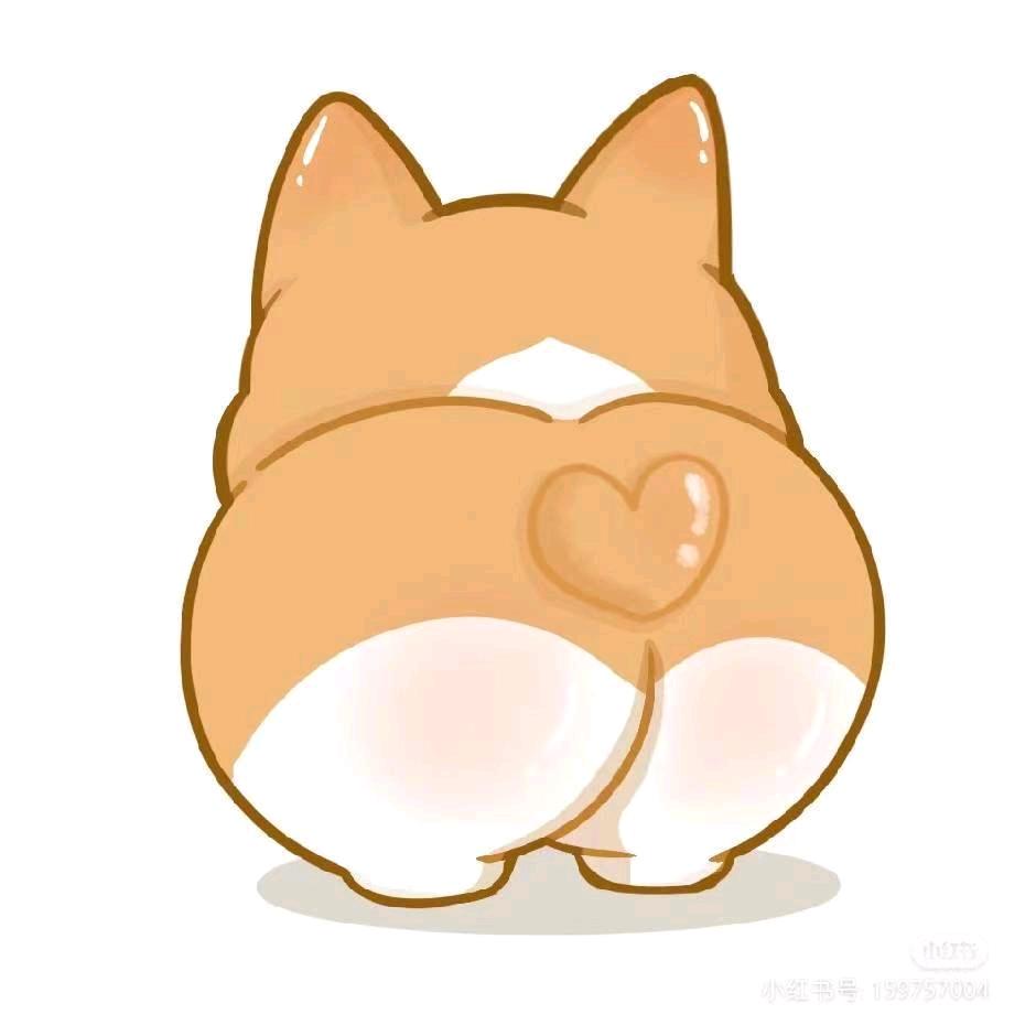 奇遇