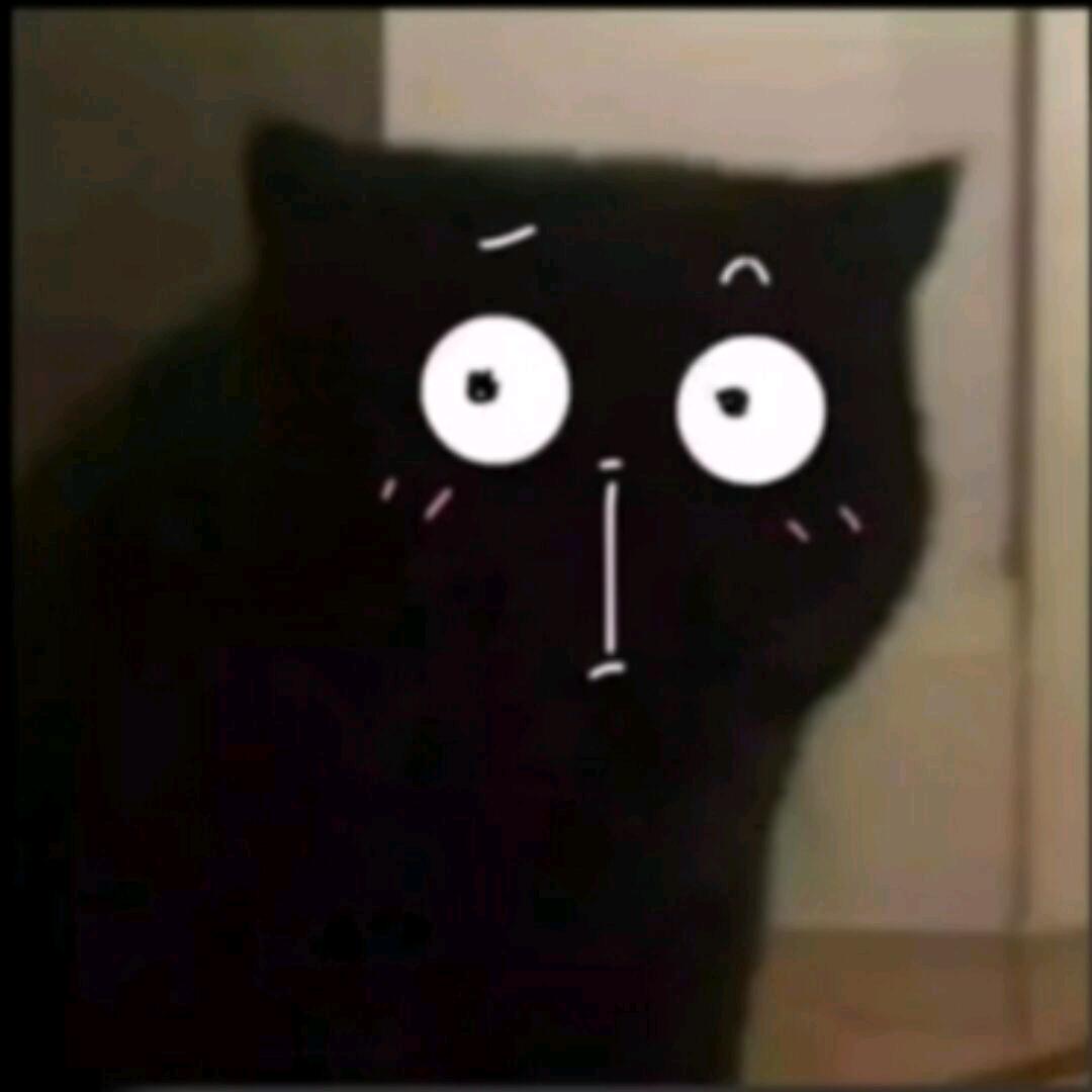 llxxll