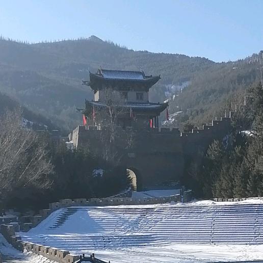 老四