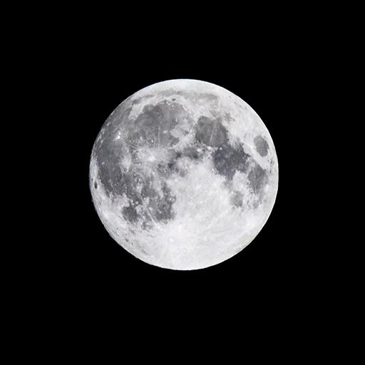 耒阳醉江南(大人玩具)