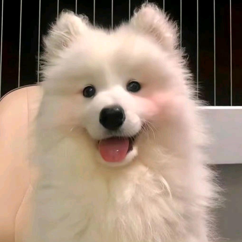 l顺