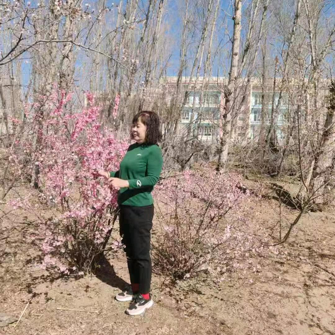 好运连连☘☘☘☘