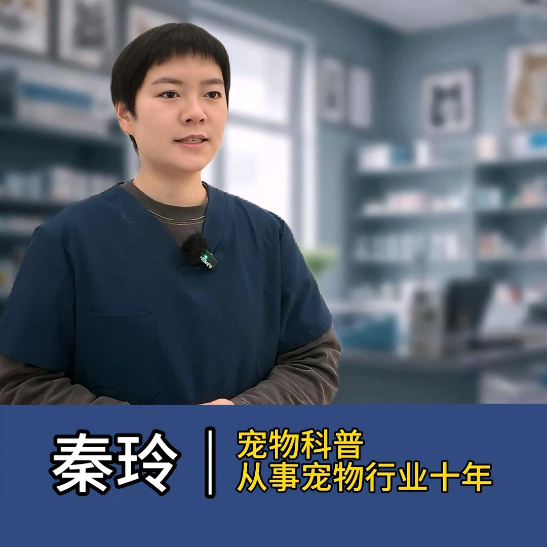 宠物指南—秦玲