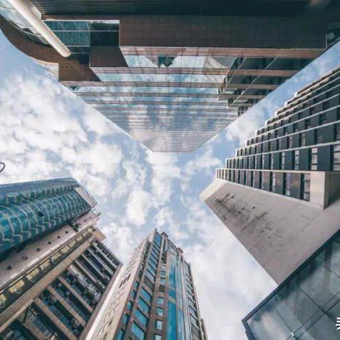 空日格🦅🐬🦎🐶