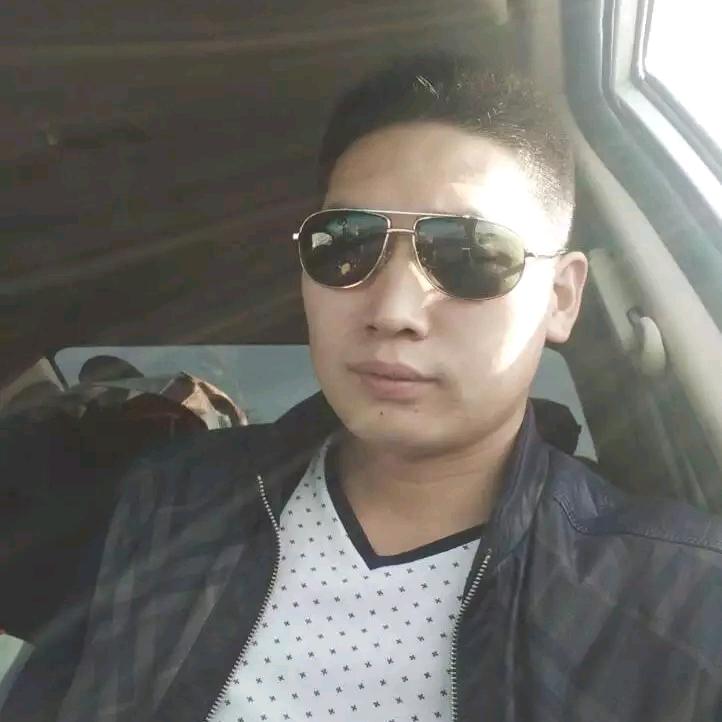 沙漠骆驼……