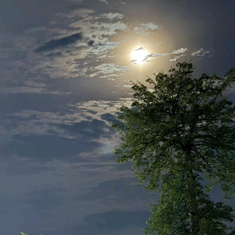 ღ 💞꧔ꦿ洁❦