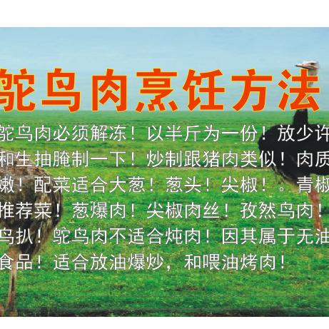 鸵鸟回收 回收鸵鸟毛