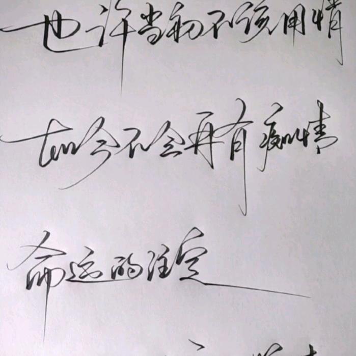 㣻罖头像