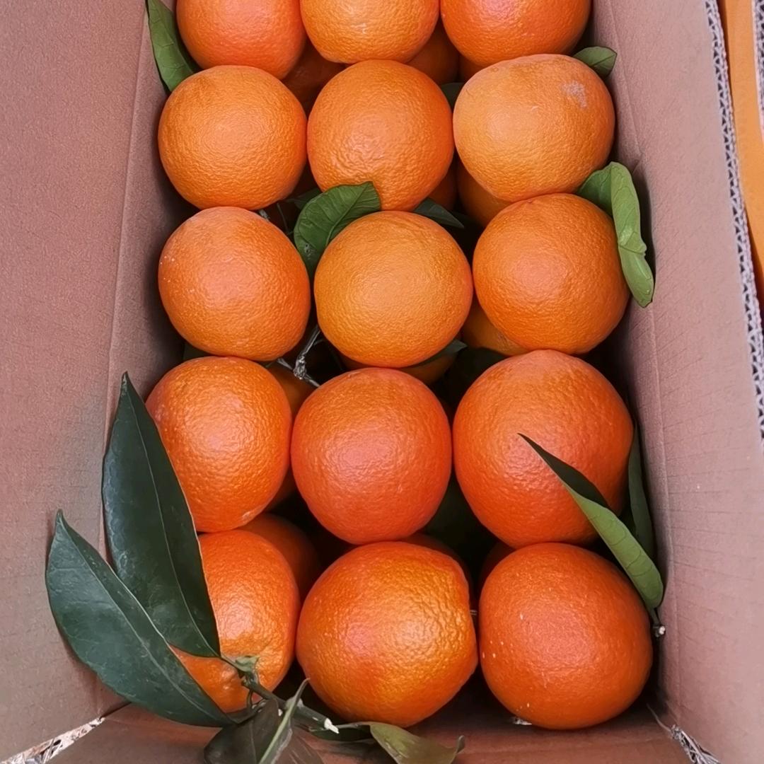 舒肤佳
