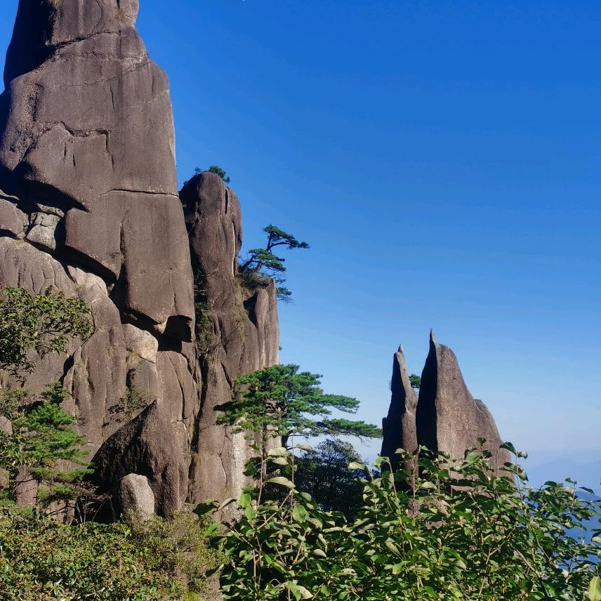 摆笼酸菜鱼庄（爱钓鱼）（萧山拱秀路总店