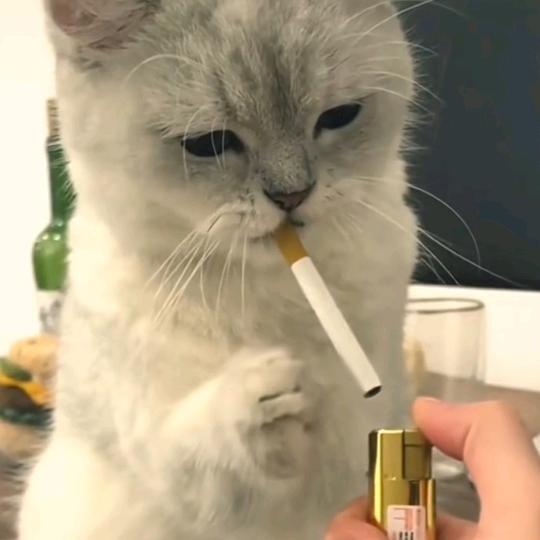 了不起