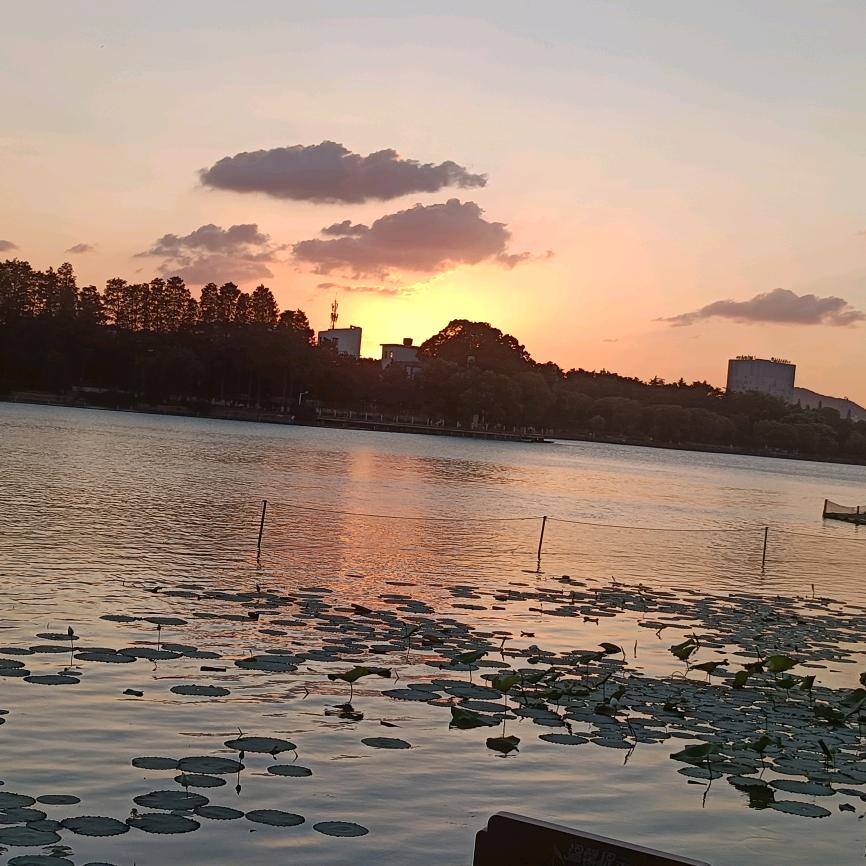 许良文