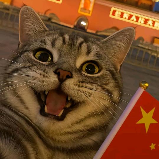 壁立千仞，无欲则刚