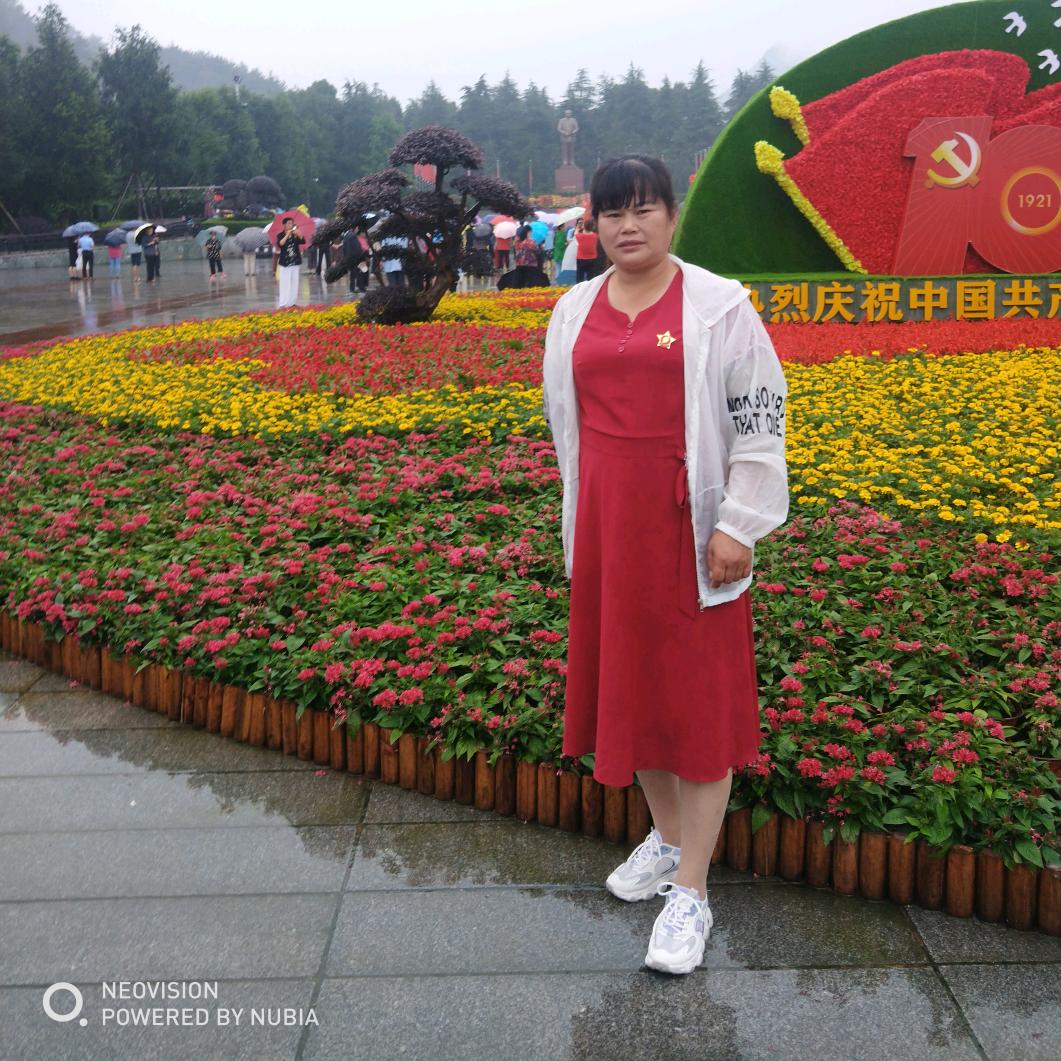 不用牵手我自己能走