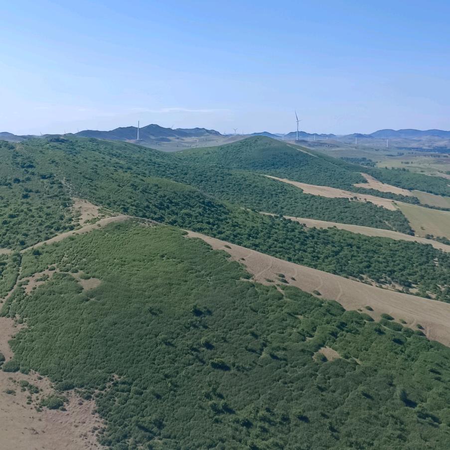 人生如果可以重来