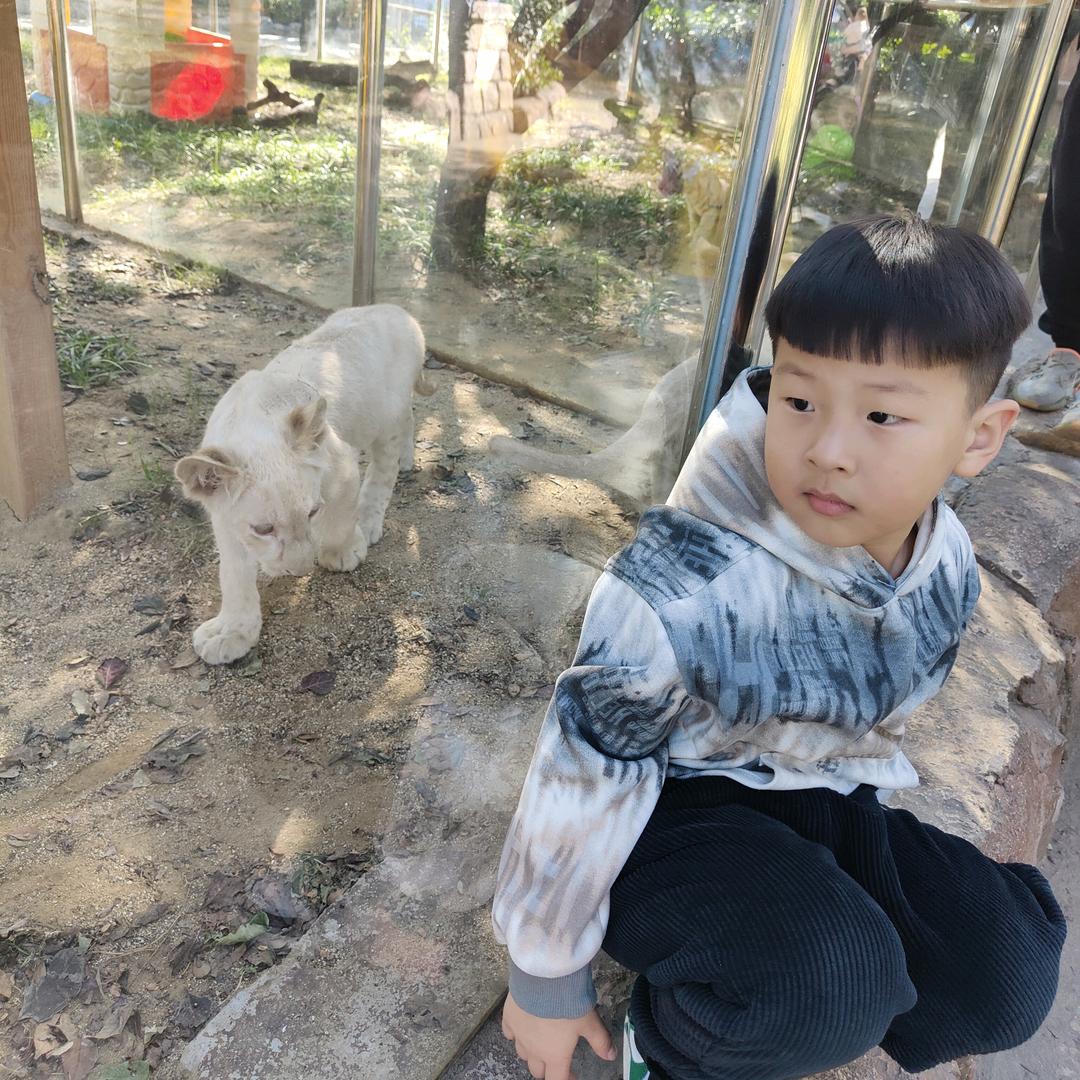 小杨小杨喜气洋洋