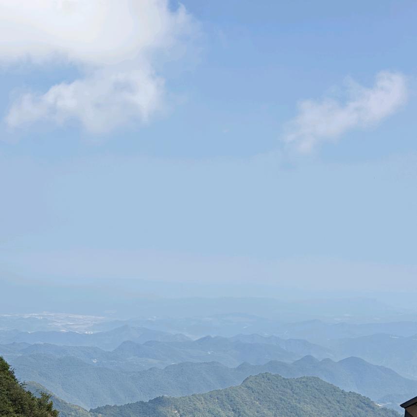 我却从未相信