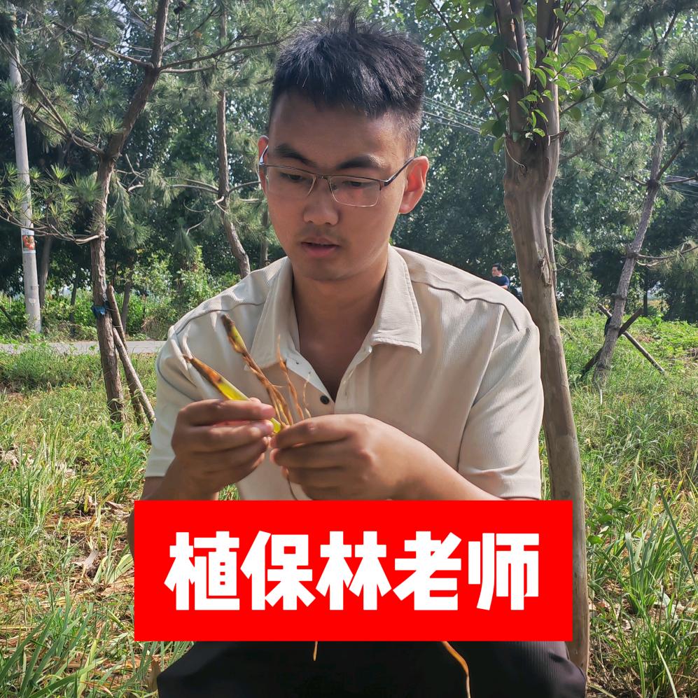 国光园林苗木所-林老师