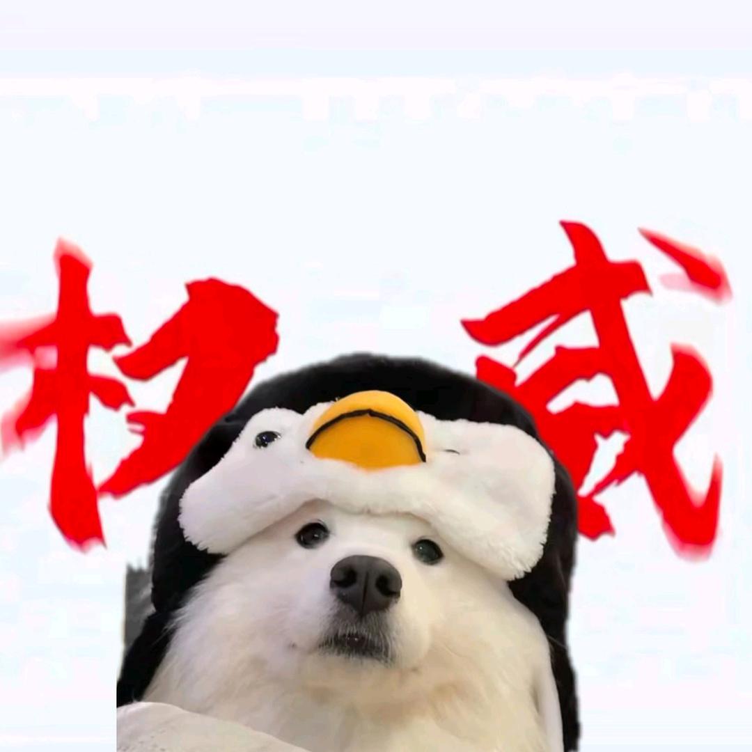 kai哥☭☭☭