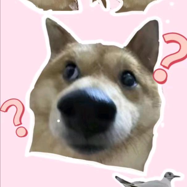 迟迟.