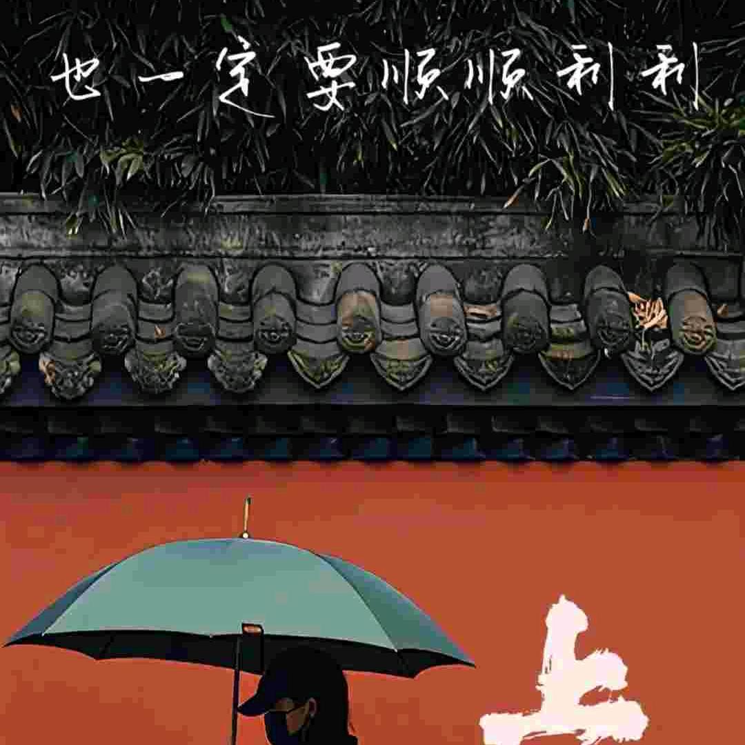 偏爱自由