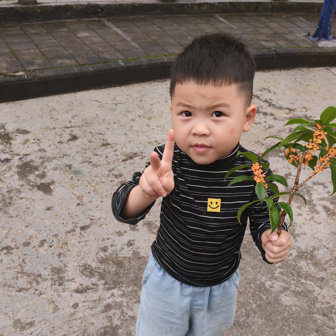 🦂🦂🦂安康紫阳🦋🦋🦋🦋