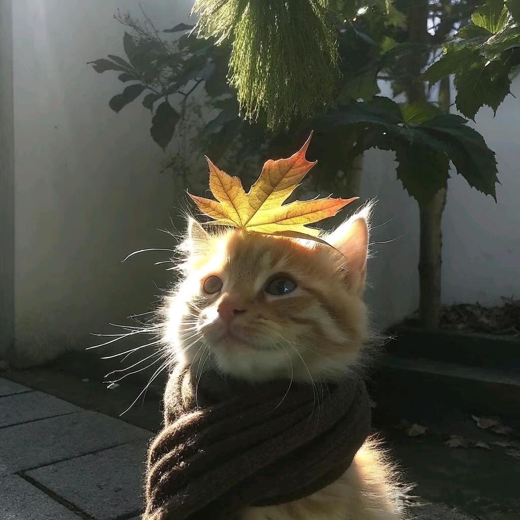 吃土豆长大的马铃薯