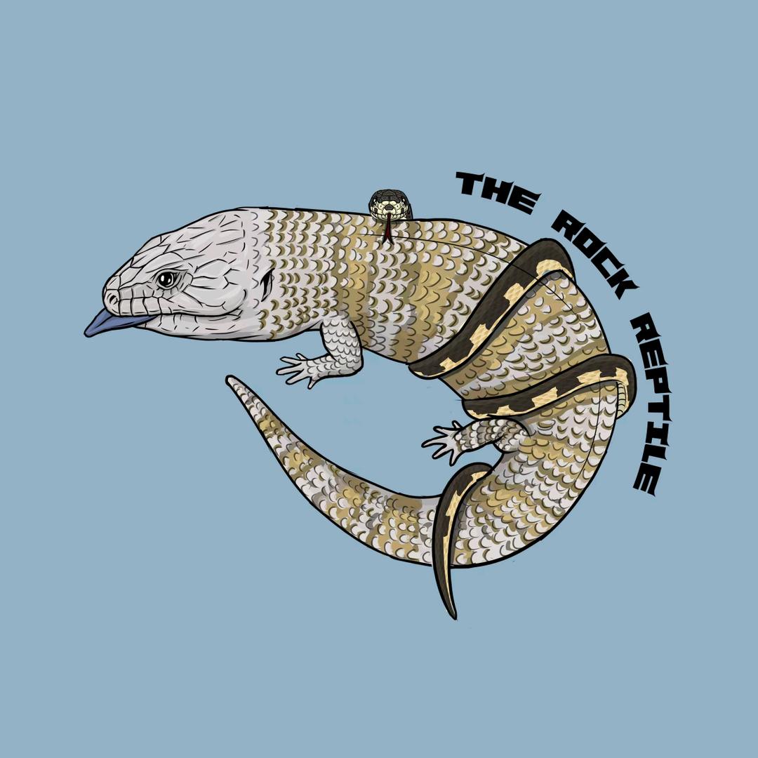 The Rock Reptile(爬宠）