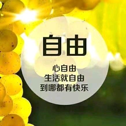 飞鹰
