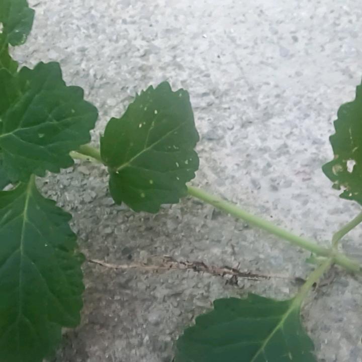 孤单一人好伤心