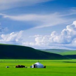 呼河牧场烤奶皮