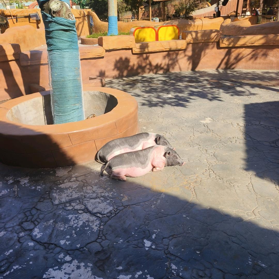 取名字一定不能取的太长了