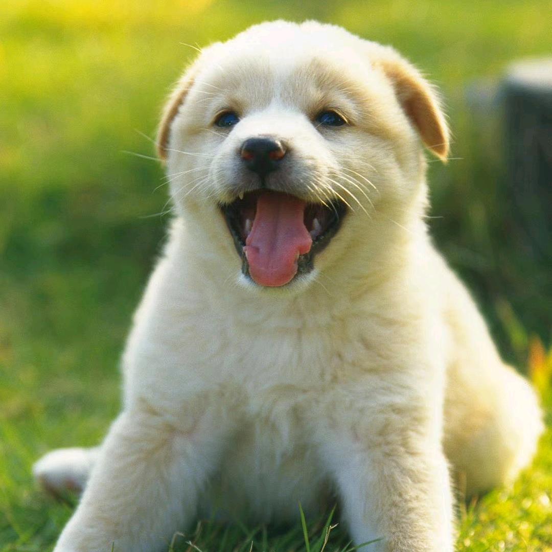 祺帆玻璃不锈钢装饰