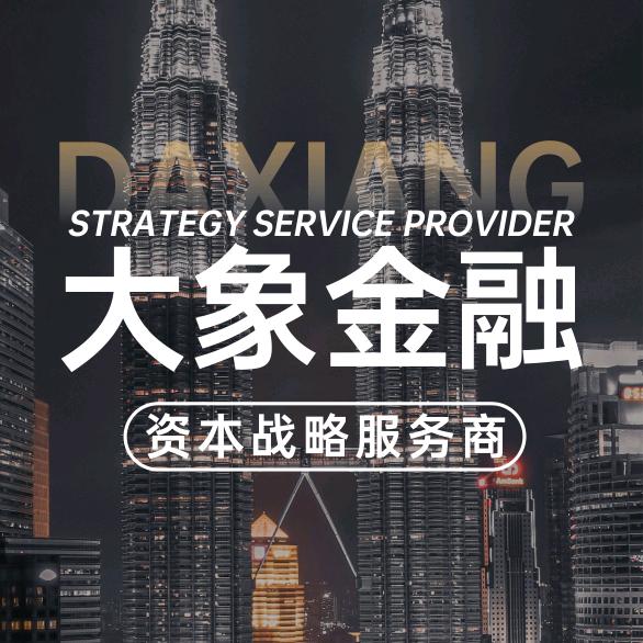 大象金融