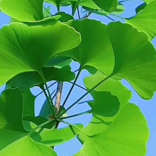 一起走过浪漫