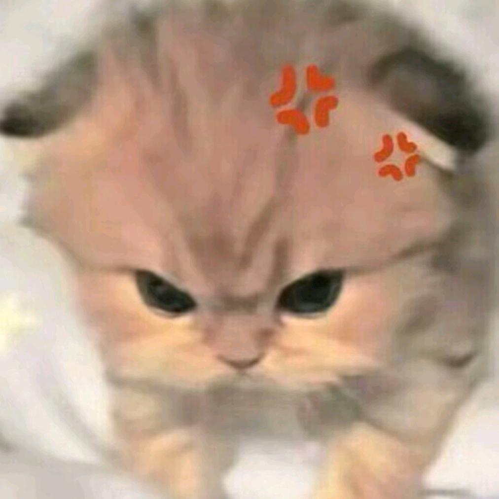 小猫冻干🍦