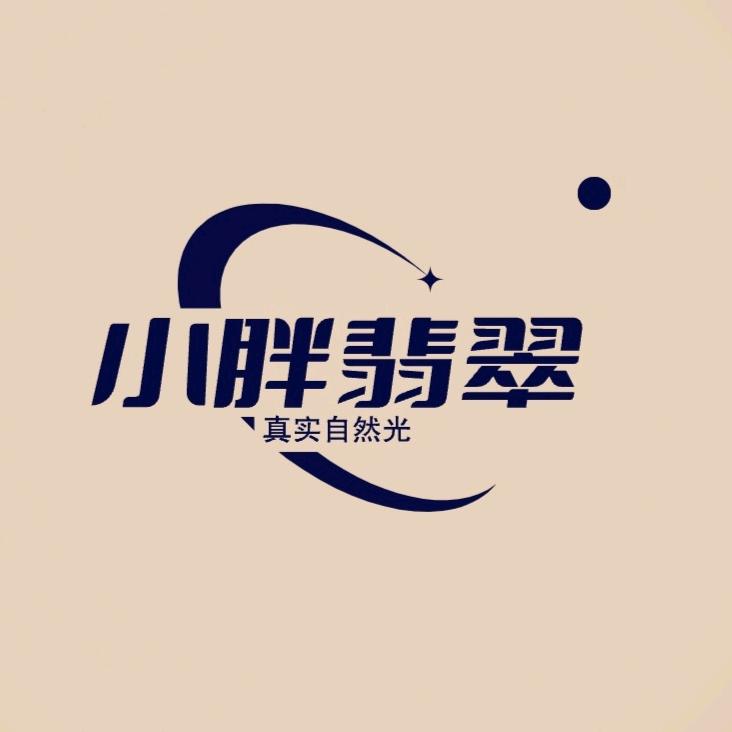 小胖翡翠手镯自然光