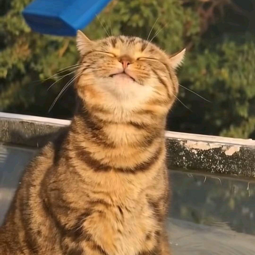 飞轮效应