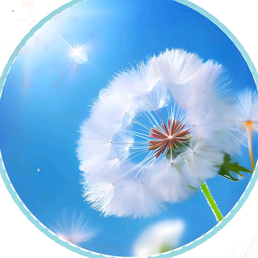 ღ᭄ꫛ福ꦿ宝🍀এۣۖิ᭄࿐