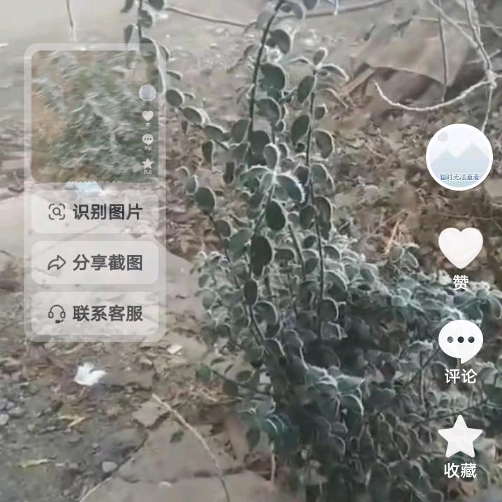 冬至。一生幸福