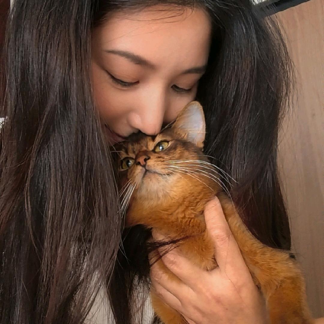 飞天大野猪