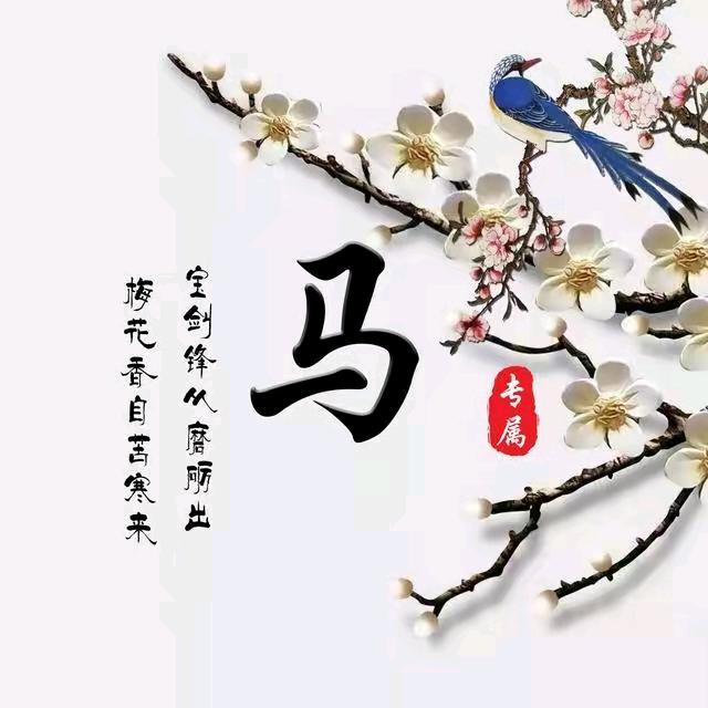 春光无限