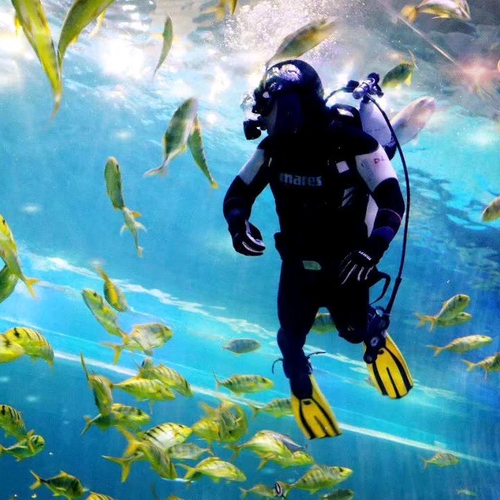 水族玩家