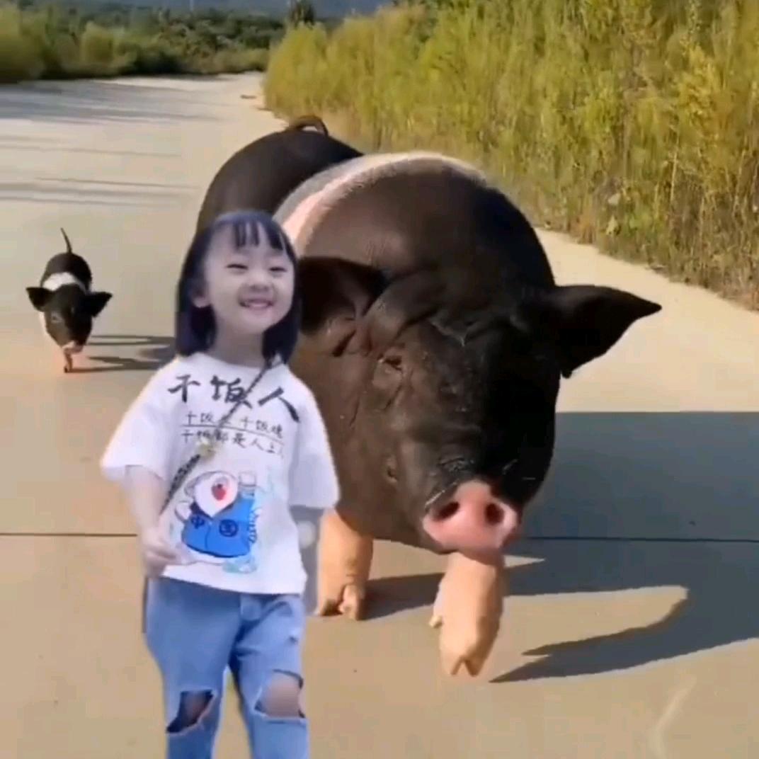 财源广进