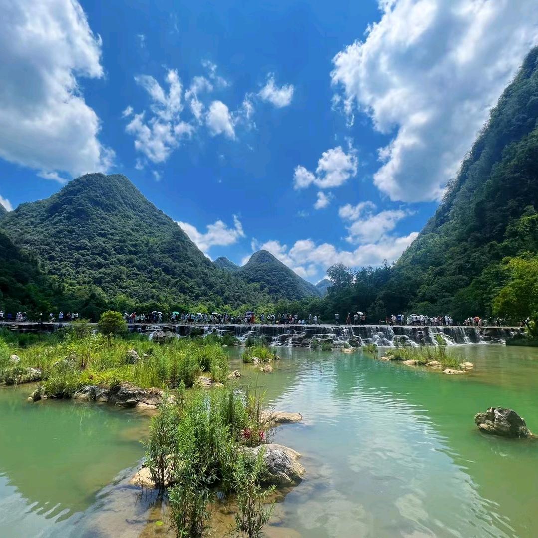 麦穗
