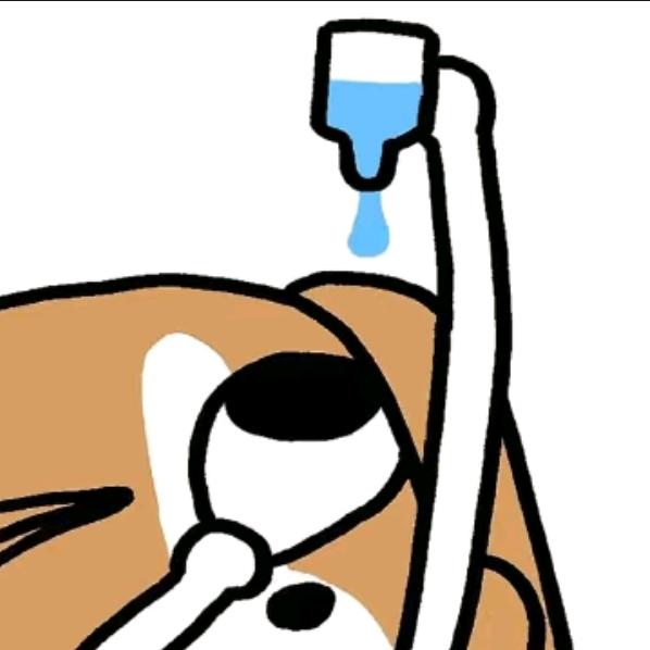 不吃饭然后饿瘦了800斤